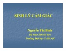 Bài giảng Sinh lý cảm giác - Nguyễn Thị Bình