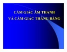 Bài giảng Cảm giác âm thanh và cảm giác thăng bằng