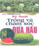 Kỹ thuật trồng và chăm sóc dưa hấu - Bạn của nhà nông: Phần 2