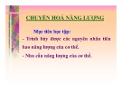 Bài giảng Chuyển hóa năng lượng (75tr)