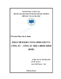 Tiểu luận Phân tích tài chính: Phân tích khả năng sinh lời của công ty - Công ty Nhựa Bình Minh (BMP)