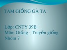 Bài thuyết trình: Tám giống gà ta