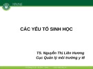 Bài giảng Các yếu tố sinh học - TS. Nguyễn Thị Liên Hương