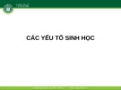 Bài giảng Các yếu tố sinh học