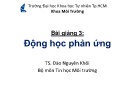 Bài giảng Mô hình hóa môi trường: Bài giảng 3 - TS. Đào Nguyên Khôi