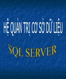 Bài giảng Hệ quản trị cơ sở dữ liệu (SQL server)