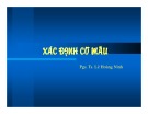 Bài giảng Xác định cỡ mẫu - PGS.TS. Lê Hoàng Ninh