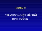 Bài giảng Chương 13: Vitamin và một số chất dinh dưỡng