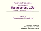 Management  - Chapter 9: Fundamentals of Organizing