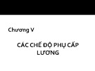 Bài giảng Tiền lương - Tiền công - Chương V: Các chế độ phụ cấp lương