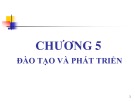 Bài giảng Quản trị nguồn nhân lực - Chương 5: Đào tạo và phát triển