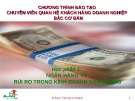 Bài giảng Chương trình đào tạo Chuyên viên quan hệ khách hàng doanh nghiệp bậc cơ bản: Học phần 1 - Ngân hàng và rủi ro trong kinh doanh ngân hàng