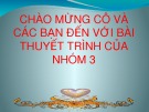 Bài thuyết trình: Tài nguyên khoáng sản Việt Nam