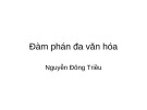 Bài giảng Đàm phán đa văn hóa - Nguyễn Đông Triều