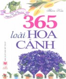 Sưu tầm 365 loài hoa cảnh: Phần 1