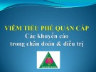 Bài giảng Viêm tiểu phế quản cấp các khuyến cáo trong chuẩn đoán và điều trị