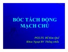 Bài giảng Bóc tách động mạch chủ - TS. Đỗ Kim Quế (17 tr)