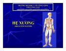 Bài giảng Hệ xương