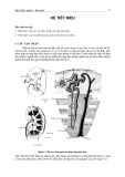 Bài giảng Mô phôi: Hệ tiết niệu