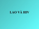 Bài giảng Lao và HIV