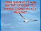 Bài giảng Tổng quan về tệ nạn ma túy và công tác phòng chống ma túy hiện nay