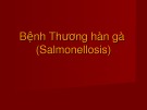 Bài giảng Bệnh thương hàn gà (Salmonellosis)