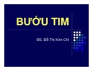 Bài giảng Bướu tim - BS. Đỗ Thị Kim Chi