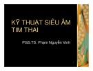 Bài giảng Kỹ thuật siêu âm tim thai - PGS.TS. Phạm Nguyễn Vinh