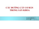 Bài giảng Các đường cắt cơ bản trong sản khoa - BS. Hà Tố Nguyên