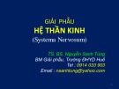 Bài giảng Giải phẫu hệ thần kinh