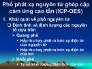 Bài giảng Phổ phát xạ nguyên tử ghép cặp cảm ứng cao tần (ICP-OES)