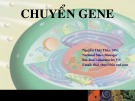 Bài giảng Chuyển gene - Nguyễn Thái Thủy