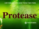 Bài giảng Chế phẩm sinh học dùng trong thực phẩm: Protease