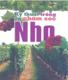 Hướng dẫn trồng và chăm sóc nho - Bạn của nhà nông: Phần 2