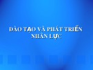 Bài giảng Đào tạo và phát triển nhân lực