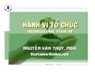 Bài giảng Hành vi tổ chức - Nguyễn Văn Thụy