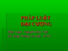 Bài giảng Pháp luật đại cương - Nguyễn Đức Tình