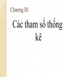 Bài giảng Nguyên lý thống kê kinh tế (ĐH KTQD) - Chương 3: Các tham số thống kê