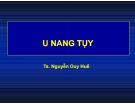 Bài giảng U nang tụy - TS. Nguyễn Duy Huề