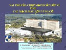 Bài giảng Vai trò của chụp mạch cắt lớp vi tính các mạch máu lớn vùng cổ trong đa chấn thương