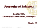 Chapter 13: Properties of solutions