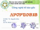 Bài thuyết trình: Apoptosis