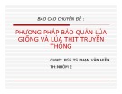 Báo cáo chuyên đề: Phương pháp bảo quản lúa giống và lúa thịt truyền thống