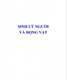 Giáo trình Sinh lý người và động vật: Phần 2