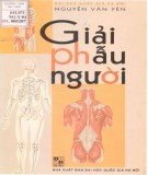 Giáo trình Giải phẫu người: Phần 1