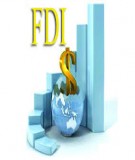 Bài tiểu luận: Vốn FDI và tăng trưởng kinh tế Việt Nam