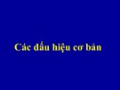 Bài giảng Các dấu hiện cơ bản