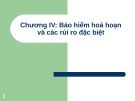 Bài giảng Bảo hiểm trong kinh doanh - Chương 4: Bảo hiểm hoả hoạn và các rủi ro đặc biệt