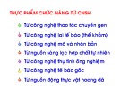 Bài giảng Công nghệ sinh học thực phẩm: Chương 4(2) - ThS. Phạm Hồng Hiếu