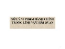 Bài giảng Xử lý vi phạm hành chính trong lĩnh vực hải quan.